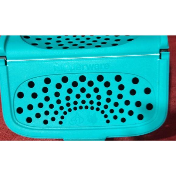 Tupperware Garlic Shallot Onion Keeper with Lid Holder Storage Fresh Longer - Picture 2 of 7